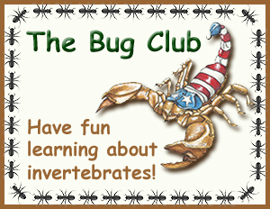 Local Bug Club Bugs of America provider of live invertebrates to zoos, schools ...